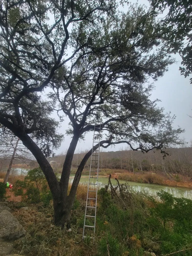 Top-rated landscape installation in Kerrville, TX by Affordable Landscaping and Tree Care