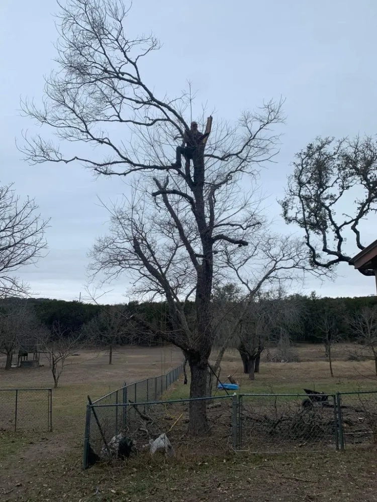 Affordable landscape design in Kerrville, TX by Affordable Landscaping and Tree Care