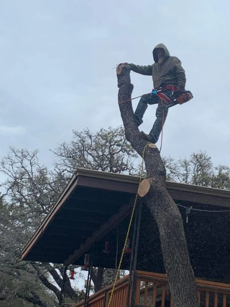 Reliable landscape installation in Kerrville, TX - Affordable Landscaping and Tree Care