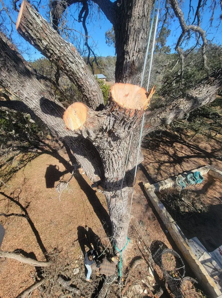 Top-rated yard cleanup service in Kerrville, TX by Affordable Landscaping and Tree Care