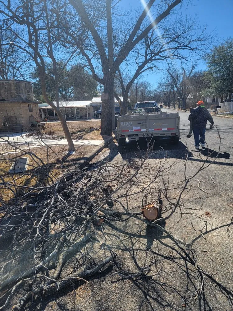 Affordable residential landscaping experts serving Kerrville, TX - Affordable Landscaping and Tree Care