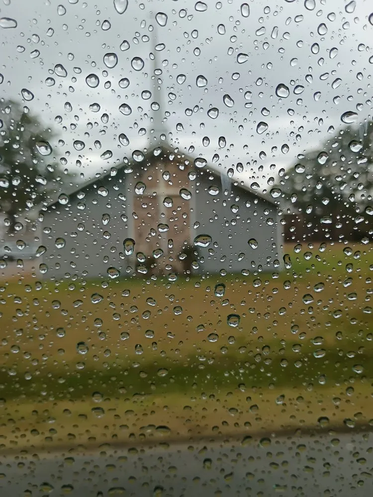 Custom residential landscaping with custom design in Camden, NC by Affordable Landscaping And Tree Work