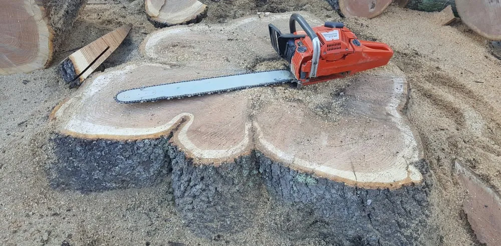 Top-rated outdoor landscaping in Norwich, CT by Affordable Landscaping and Tree Works