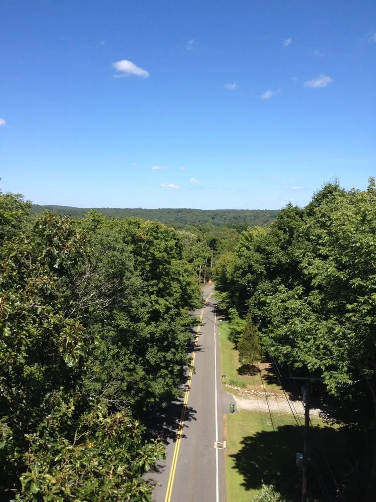 Expert lawn care service for residential properties across Norwich, CT - Affordable Landscaping and Tree Works