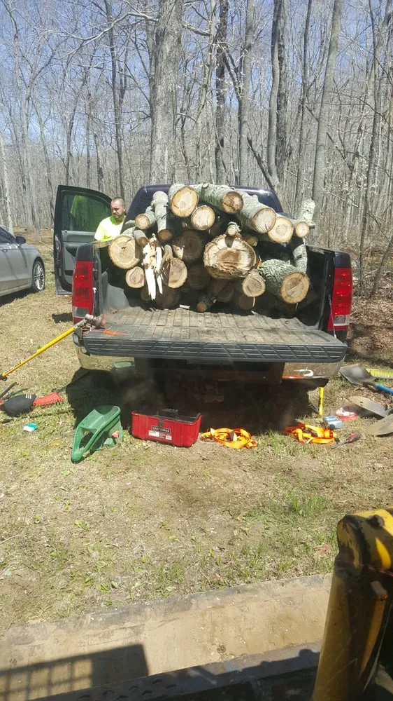 Expert lawn care service for beautiful yards across Norwich, CT - Affordable Landscaping and Tree Works