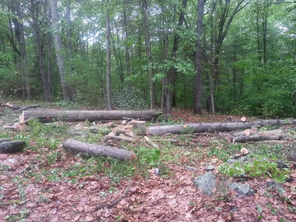 Reliable lawn mowing service for outdoor upgrades across Norwich, CT - Affordable Landscaping and Tree Works