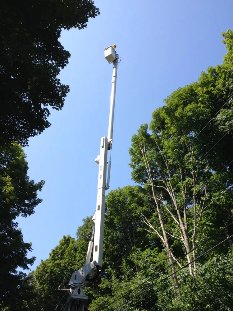 Affordable lawn care service in Norwich, CT - Affordable Landscaping and Tree Works