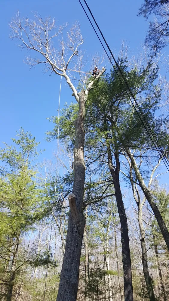 Custom outdoor landscaping experts serving Norwich, CT - Affordable Landscaping and Tree Works