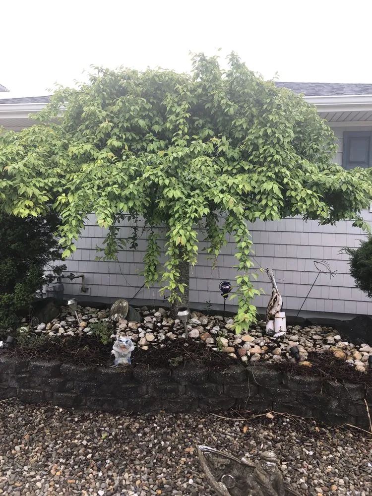 Affordable landscape design in Brick Township, NJ by Affordable Landscaping