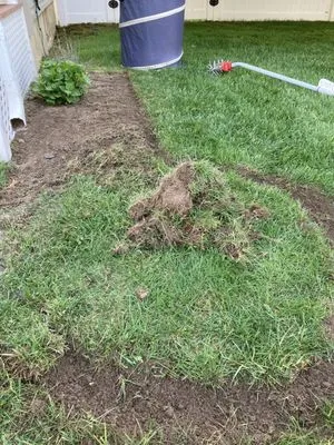 Affordable Landscaping Logo