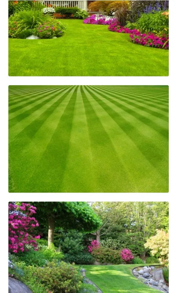 Local residential landscaping experts serving College Park, GA - Affordable Landscaping