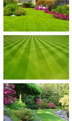 Affordable Landscaping Logo