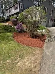 Expert yard cleanup service for outdoor upgrades in Colorado Springs, CO by Affordable Landscaping