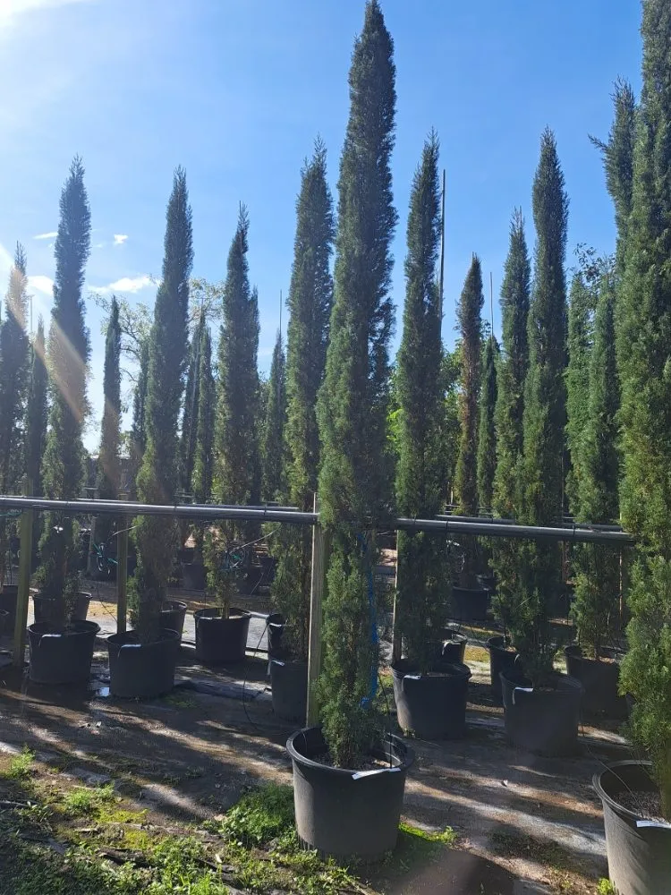 Professional landscape design near you across Delray Beach, FL - Affordable Landscaping