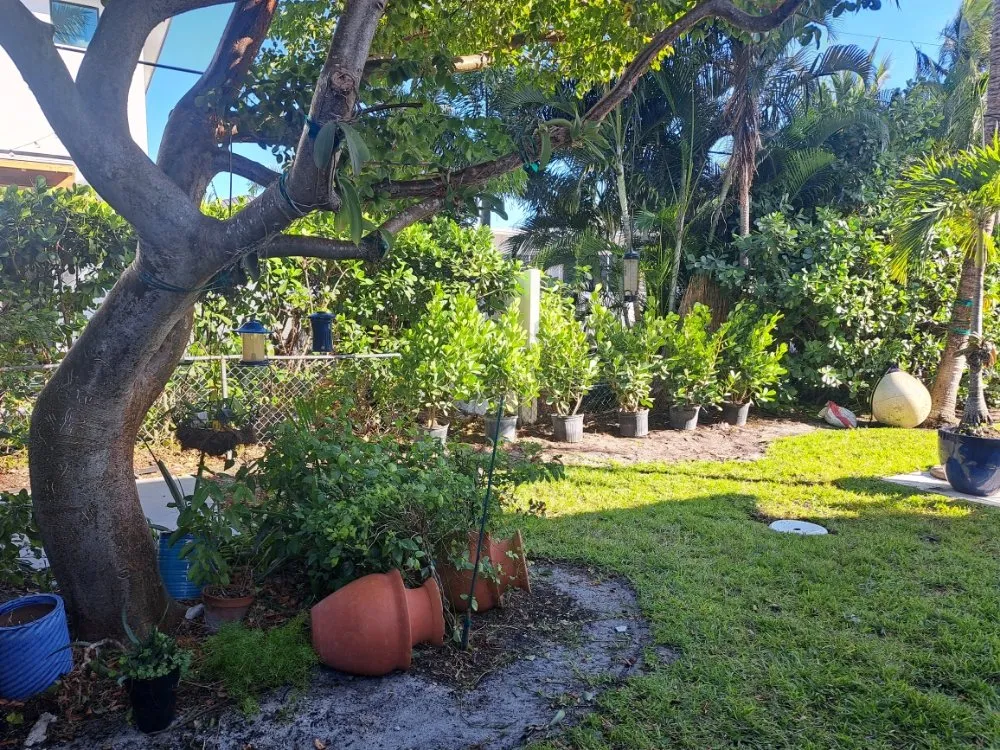 Professional lawn mowing service in Delray Beach, FL - Affordable Landscaping