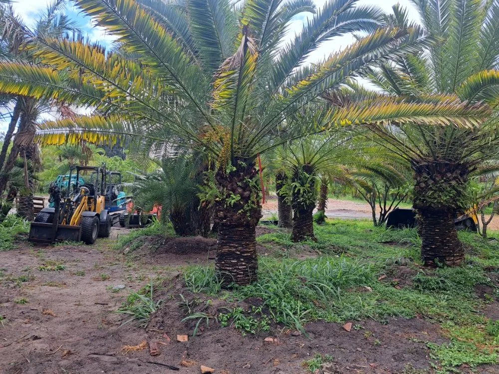 Reliable garden landscaping in Delray Beach, FL by Affordable Landscaping