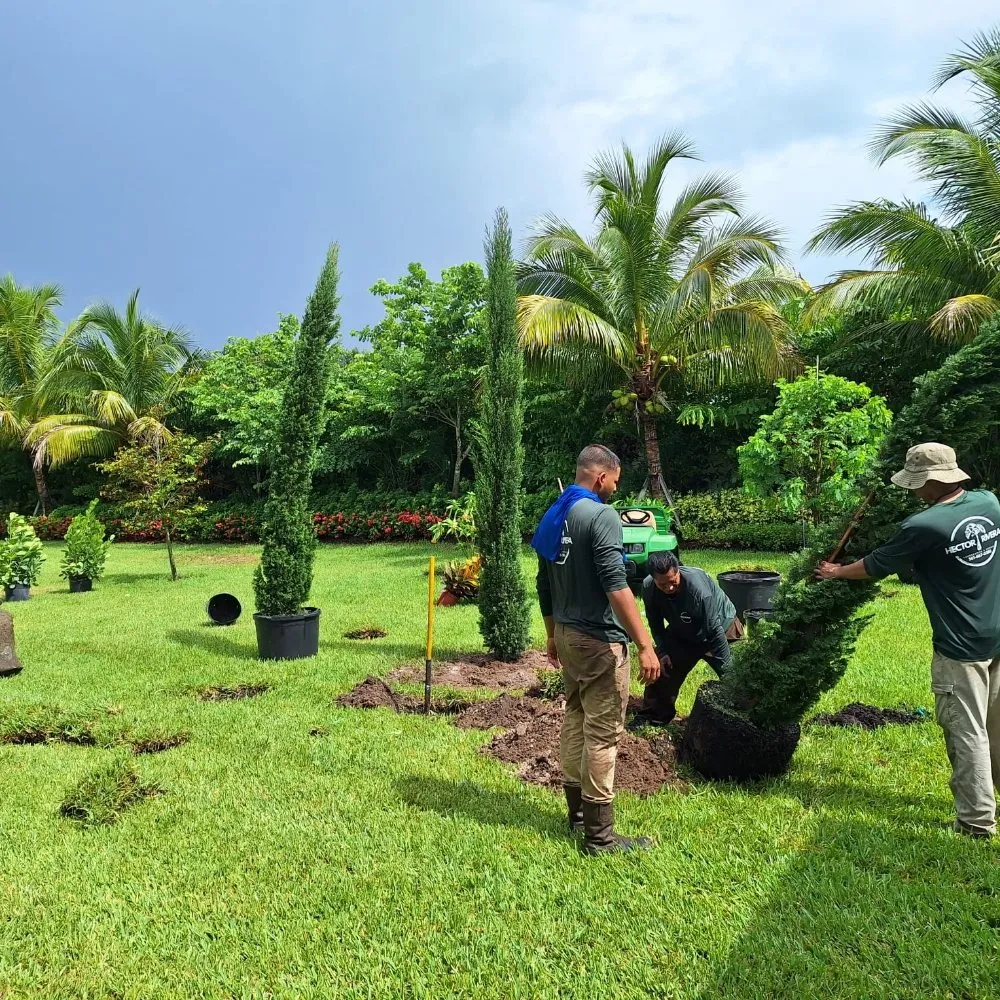 Local landscape installation in Delray Beach, FL - Affordable Landscaping