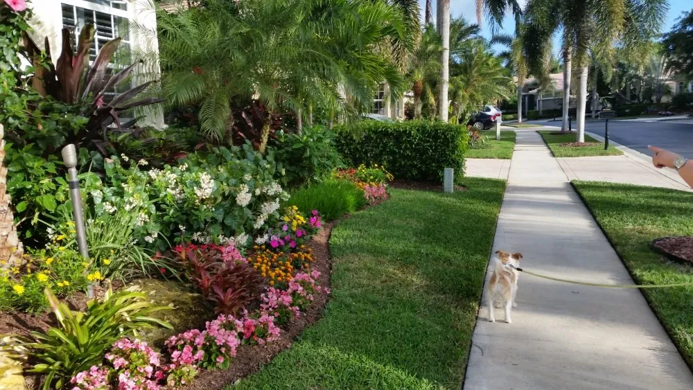 Expert landscape installation experts serving Delray Beach, FL - Affordable Landscaping
