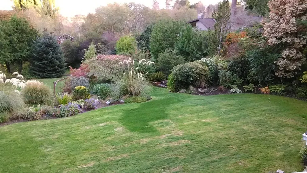 Affordable landscaping services in Olalla, WA - Affordable Landscaping Design