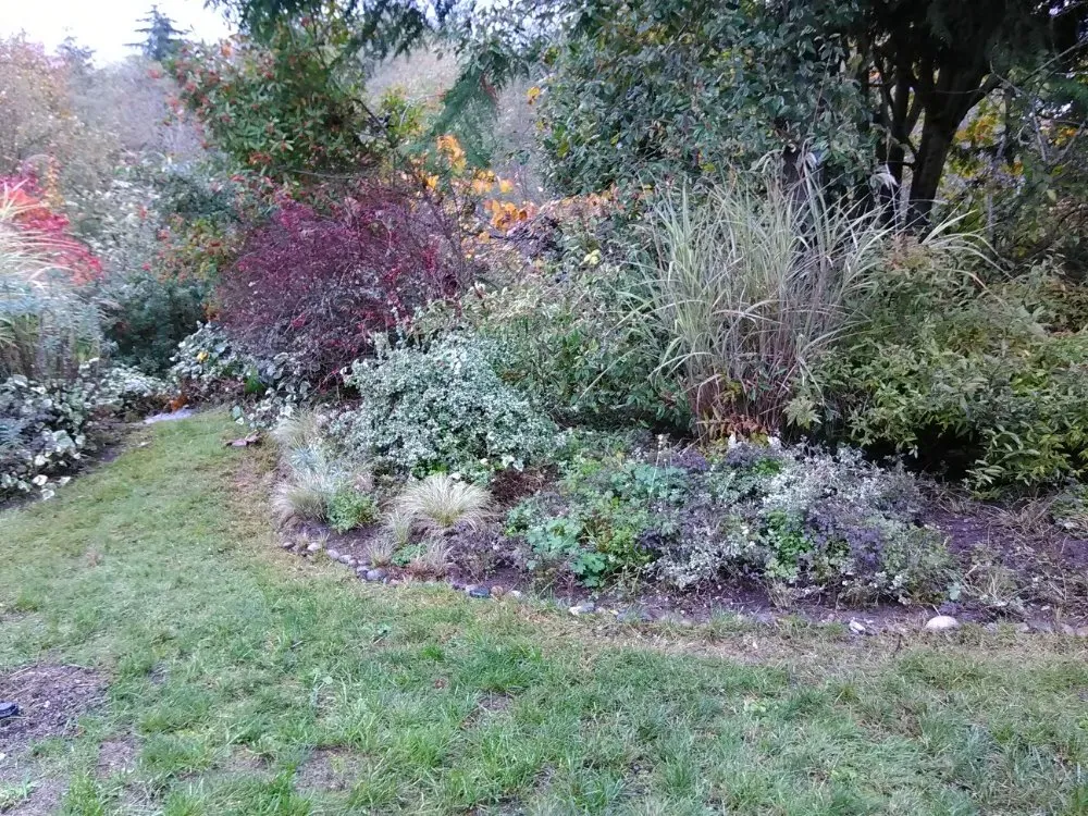 Local lawn mowing service for beautiful yards in Olalla, WA by Affordable Landscaping Design