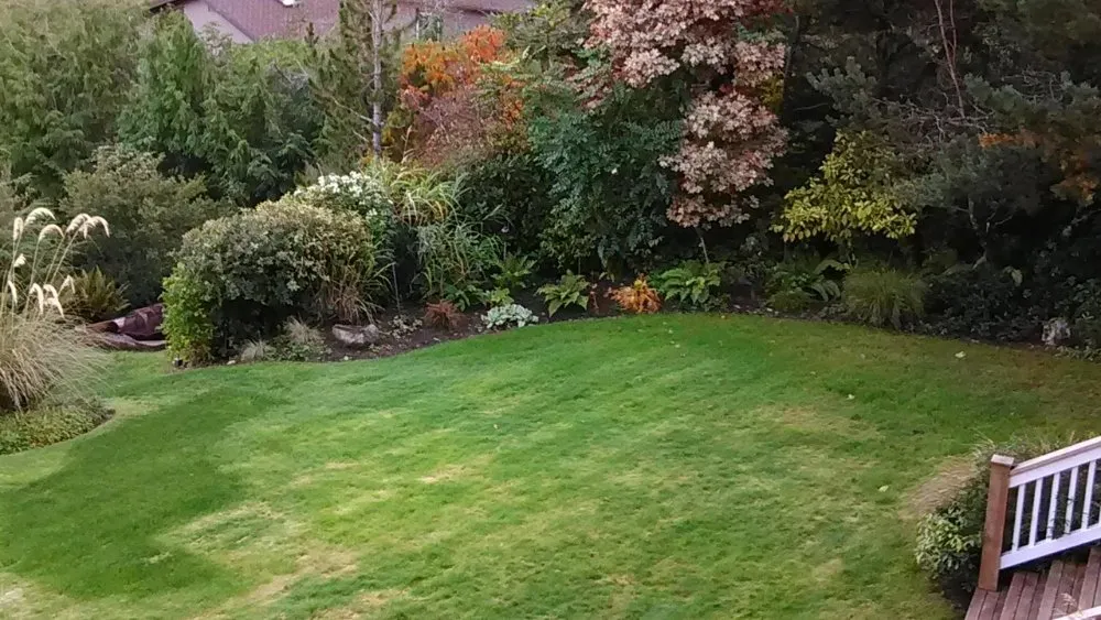 Reliable lawn care service for outdoor upgrades in Olalla, WA by Affordable Landscaping Design