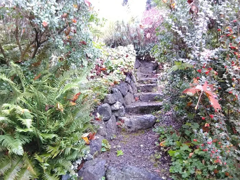 Top-rated landscape design experts serving Olalla, WA - Affordable Landscaping Design