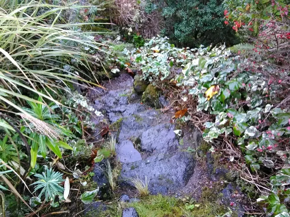Expert landscape installation with custom design across Olalla, WA - Affordable Landscaping Design