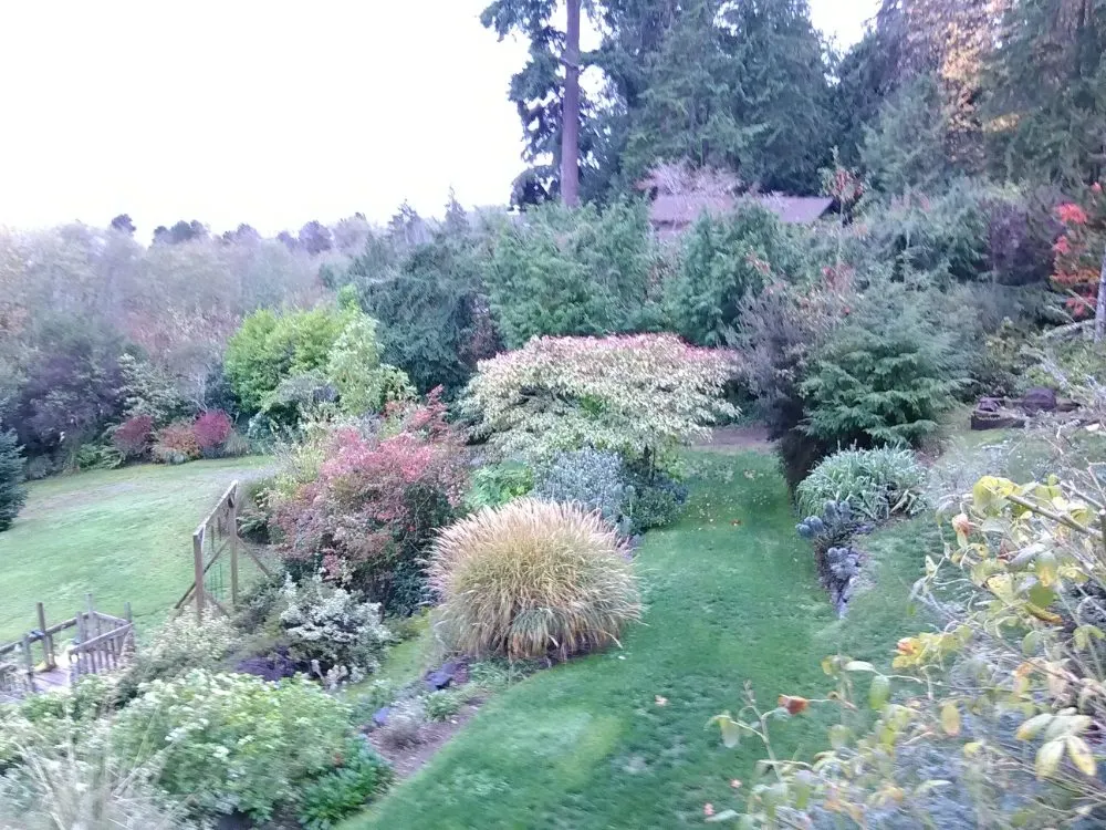 Top-rated landscape design in Olalla, WA - Affordable Landscaping Design