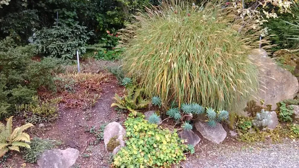 Reliable lawn care service near you in Olalla, WA by Affordable Landscaping Design