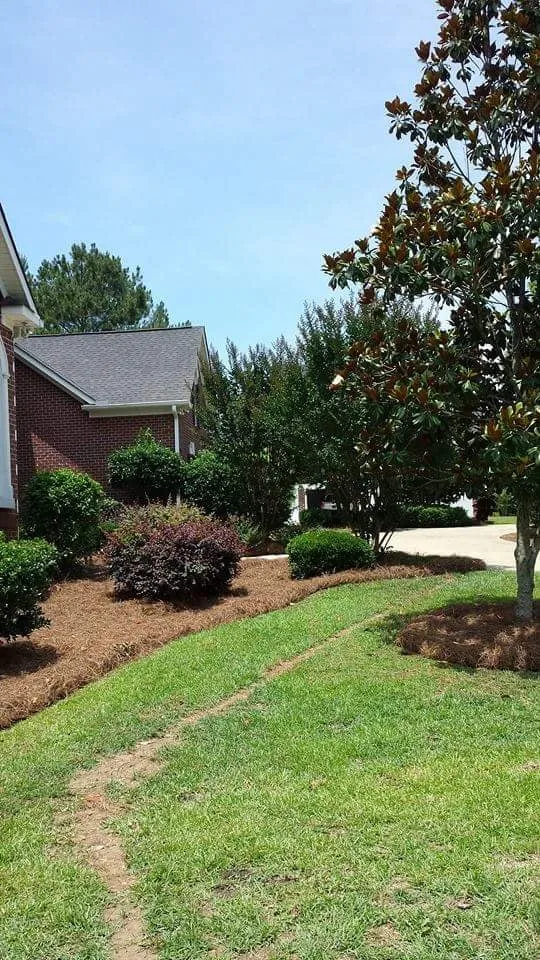 Professional garden landscaping for outdoor upgrades across Sugar Hill, GA - Affordable Landscaping Designs