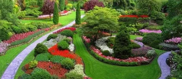 Reliable lawn care service in Sugar Hill, GA - Affordable Landscaping Designs