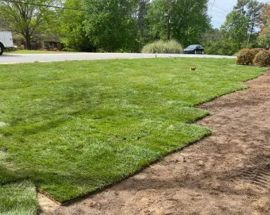 Reliable residential landscaping for beautiful yards across Greenville, SC - Affordable Landscaping