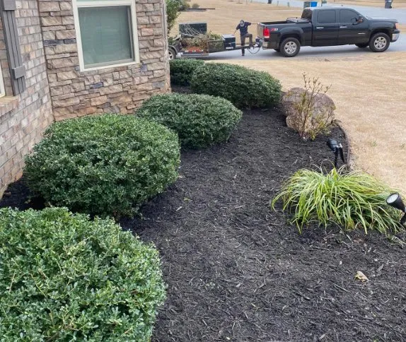 Affordable garden landscaping experts serving Greenville, SC - Affordable Landscaping
