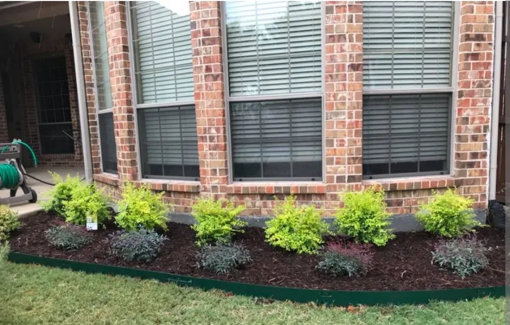 Expert outdoor landscaping in Metairie, LA - Affordable Landscaping