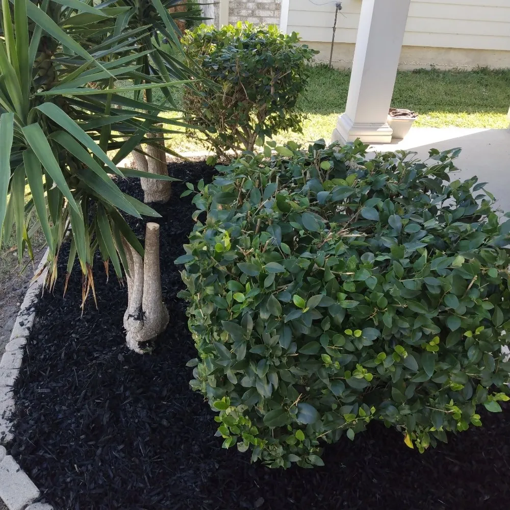 Affordable landscape design experts serving Metairie, LA - Affordable Landscaping