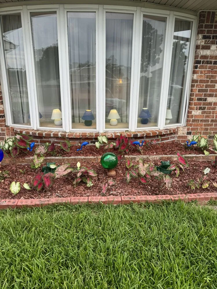 Reliable yard maintenance for outdoor upgrades across New Orleans, LA - Affordable Landscaping