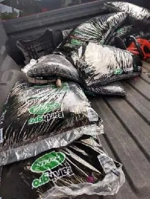 Reliable lawn mowing service for outdoor upgrades across New Orleans, LA - Affordable Landscaping