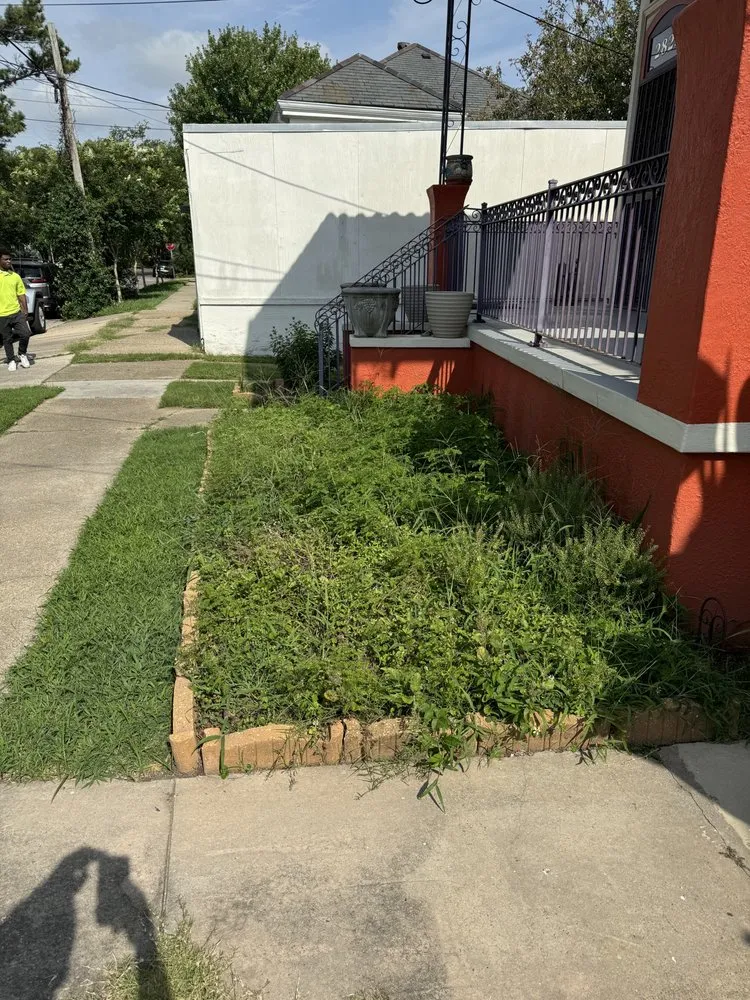 Affordable landscape design near you across New Orleans, LA - Affordable Landscaping