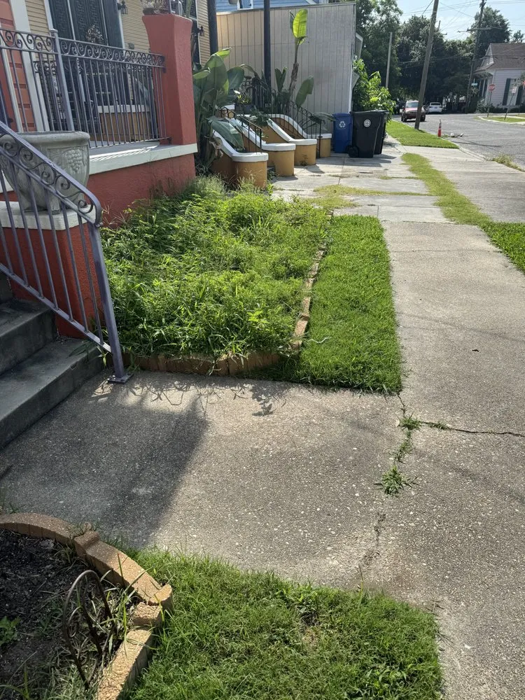 Professional yard maintenance in New Orleans, LA - Affordable Landscaping