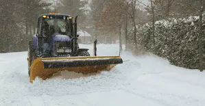 Reliable garden landscaping experts serving Norwood, MA - Affordable Landscaping