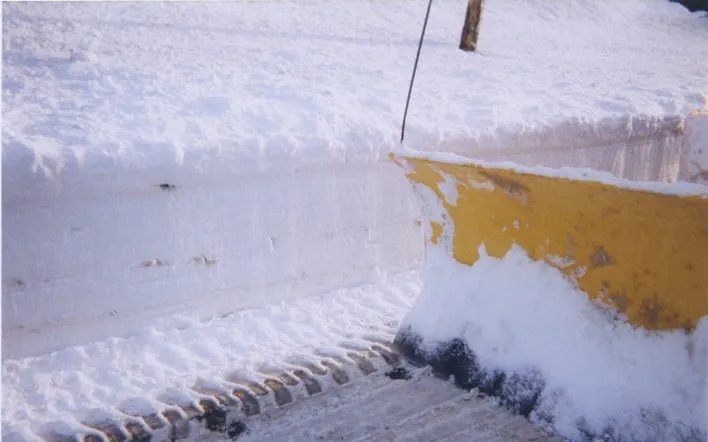 Local residential landscaping for outdoor upgrades in Norwood, MA by Affordable Landscaping