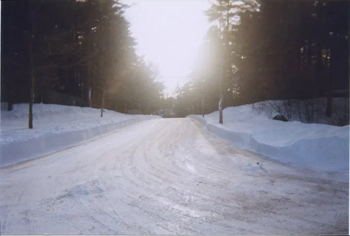 Professional outdoor landscaping in Norwood, MA by Affordable Landscaping