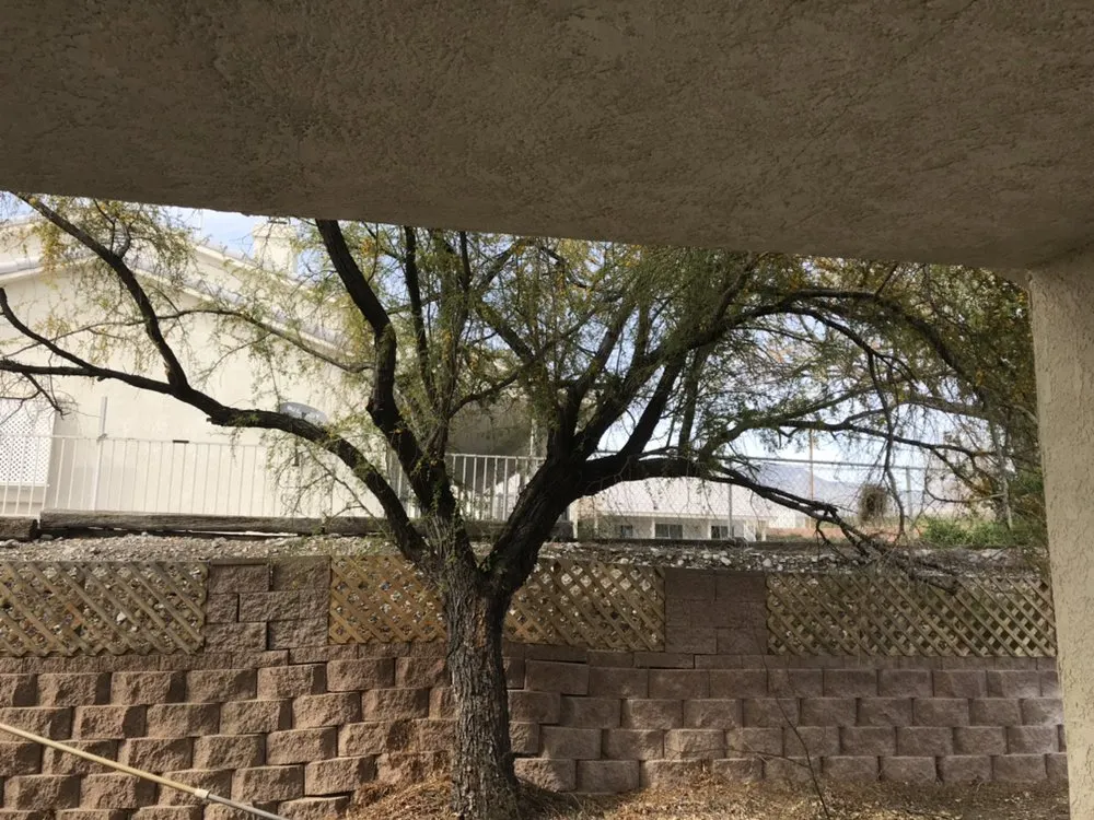 Custom yard cleanup service for homes in Pahrump, NV by Affordable Landscaping