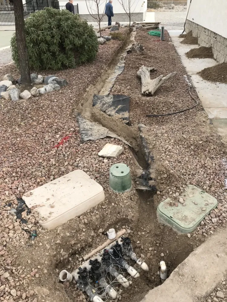 Trusted outdoor landscaping for beautiful yards across Pahrump, NV - Affordable Landscaping