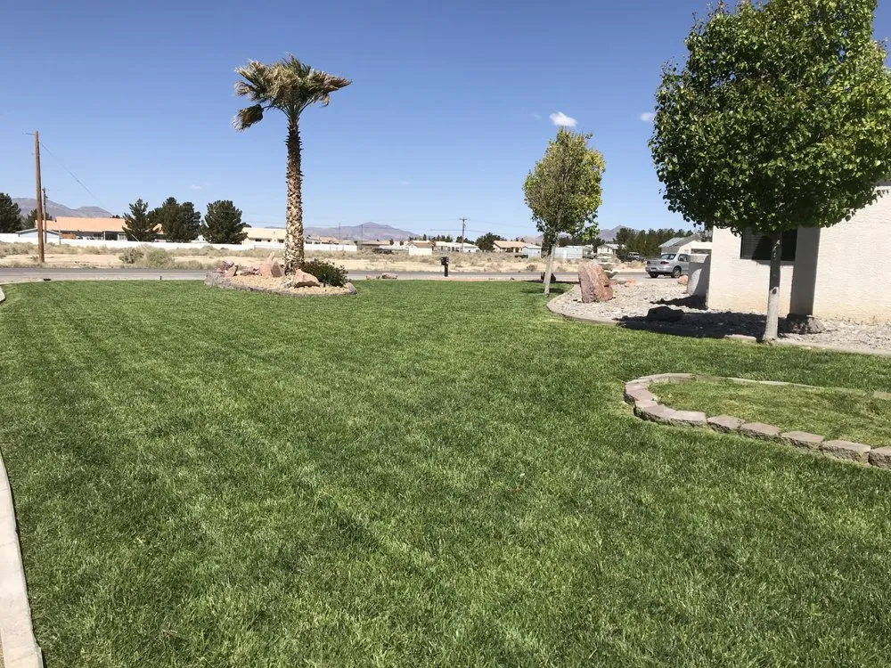 Professional landscape installation in Pahrump, NV - Affordable Landscaping