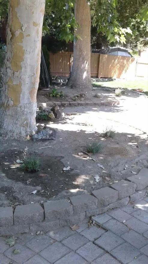 Affordable yard maintenance for beautiful yards across Richland, WA - Affordable Landscaping