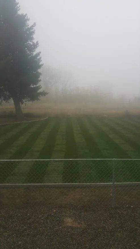 Top-rated landscaping services in Richland, WA by Affordable Landscaping