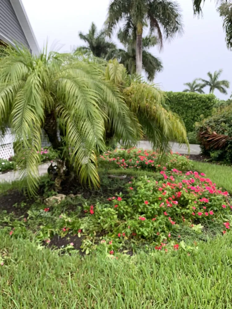 Trusted yard cleanup service for homes across Marco Island, FL - Affordable Landscaping Service & Design