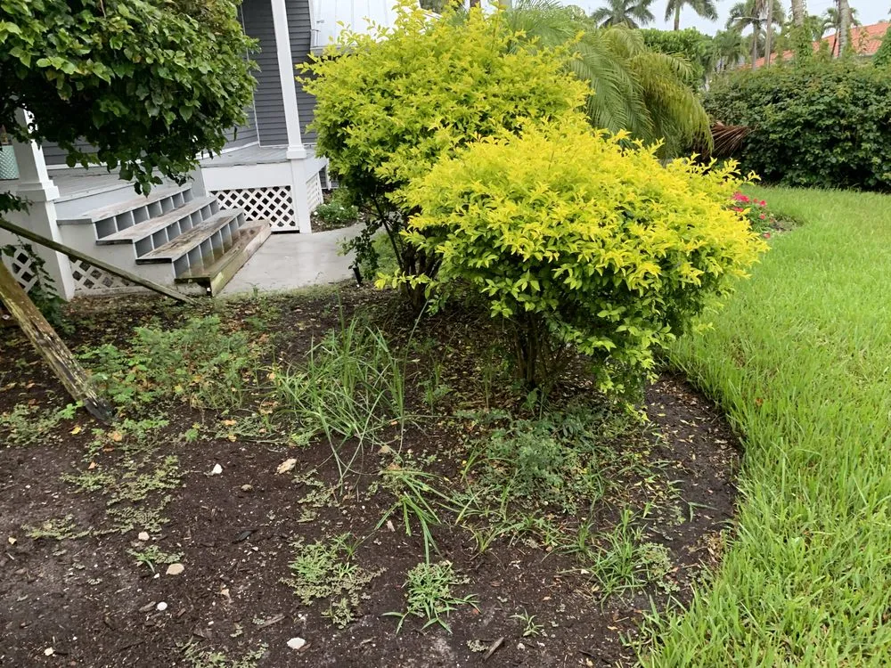 Custom outdoor landscaping in Marco Island, FL - Affordable Landscaping Service & Design