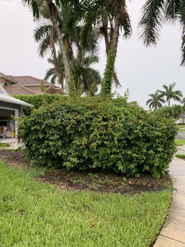 Trusted landscape installation with custom design in Marco Island, FL by Affordable Landscaping Service & Design